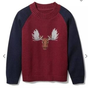 Moose Sweater raglan sleeves.